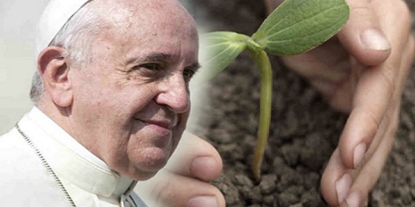 Papa Francesco: “Incoraggiare il talento dei giovani in agricoltura” 